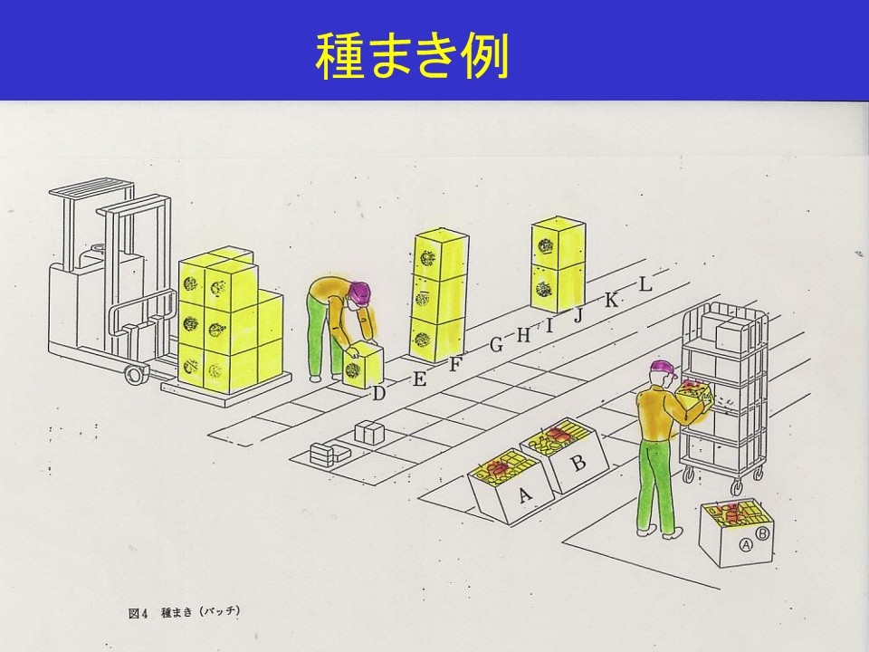 種まき例